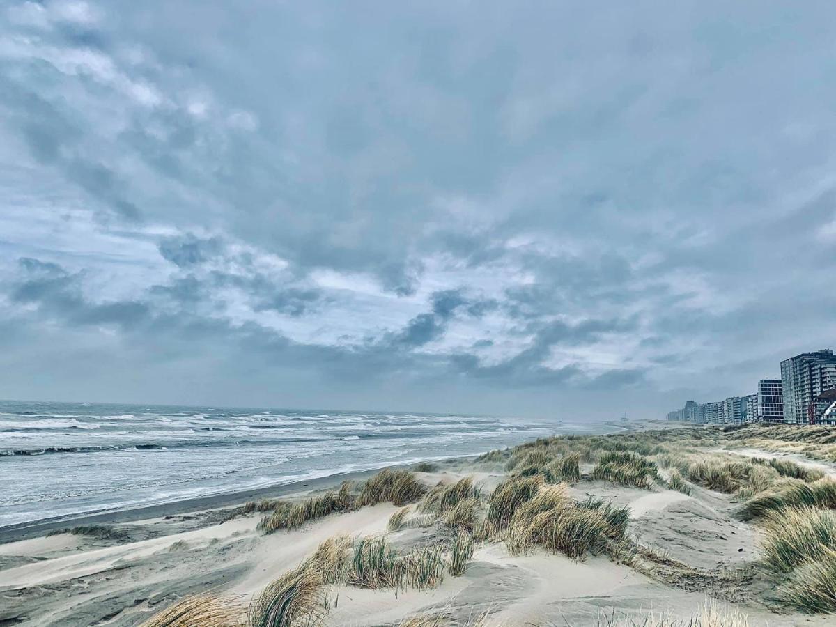 B&B Huize Van Damme Nieuwpoort Esterno foto